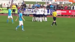 2016 04 02 SGV Freiberg Fussball   FSV 08 Bissingen 0 1