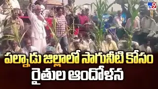 AP Farmers Protest : పల్నాడు జిల్లాలో సాగునీటి కోసం రైతుల ఆందోళన - TV9
