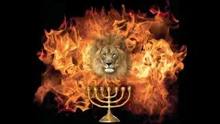 REVIVAL FIRE SOUTH AFRICA!