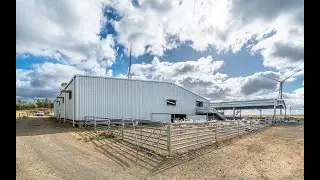 Commander Ag-Quip shearing shed