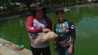 1498 - 1&deg;Torneio de Pesca Esportiva APCEF / FENAE no Parque Maeda