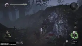 Nioh Ninjutsu Nuke