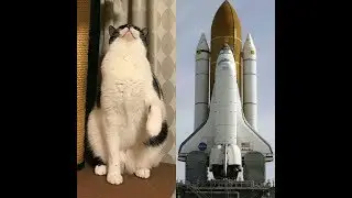 🤖 ИНСТРУКЦИЯ К РОБОТУ RKT8