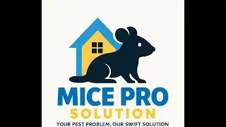 Mice Pro Solution / Professional Mice Removal Services In Yorkville IL 60560