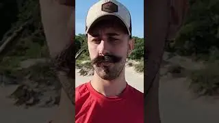 The bizarre things found on the beach with the giant sieve