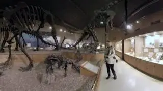 Step into the Wyoming Dinosaur Center in 360 VR | Washington Post Travel