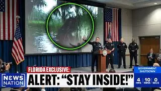 Florida&rsquo;s New Predator Is Not A Python (It Hunts Humans)