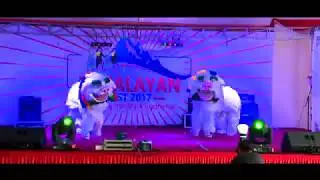 Snow Lion (Senggey Garcham) Dance | Himalayan Fest