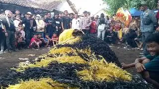 Tarian macan caplok Jaranan sawit