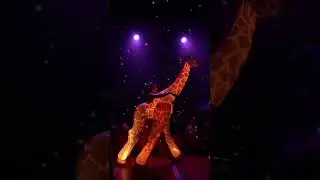El Circo de la luz