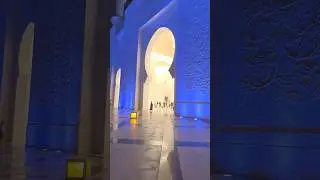 biggest mosque of UAE 🇦🇪 #abudhabi#dubai#mosque##india#indian#uae#sharja#sheikhzayad mosque #short