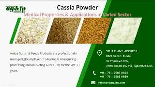 Cassia Powder - Medical Properties & Applications in Varied Sector