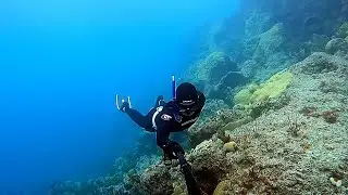 Bermuda For The Holidays | Freediving & Bottle Hunting