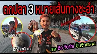 ตะเวนตกปลา 3 หมายเส้นทางชะอำ!!! รอ BoYoshi ปั่นจักรยาน 100 โล