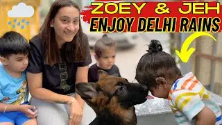 Zoey & Jeh Enjoy Delhi Rains: Bubzee Ne Finally Dahi Chawal Kha Liye | Rottweiler Family Vlog