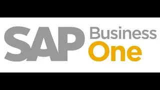 SAP Business One: User Setup with Authorization | Complete Guide