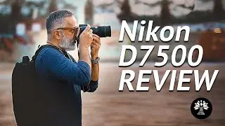 Amazon com   Nikon D7500 20 9MP DSLR Camera with AFSDX NIKKOR 18 140mm f 3 5 5 6G ED VR Lens, Black.