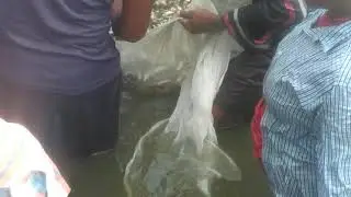 Akividu chape