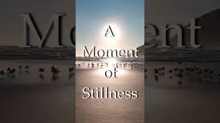 A Moment of Stillness 1 #kumaracenter #mindfulness #peace #holdthespace #stillness