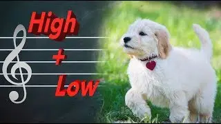 What is Melody? | For Music Class or Distance Learning