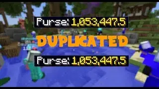 Money Duplication Glitch on Hypixel Skyblock