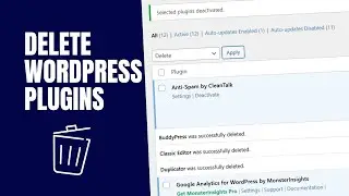 How to Delete WordPress Plugins Fast (Single & Bulk Delete)