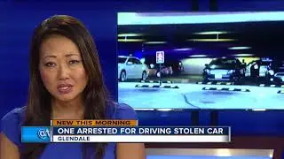 3 arrested at Bayshore Mall over stolen car, drug possession