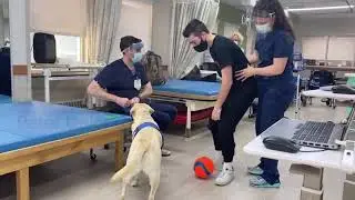 Magee Facility Dog program 2021