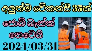 new job vacancies 2024/goverment jobs/job vacancy /today jobs/jobs in srilanka /job guide /sinhala