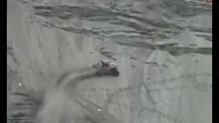 wild