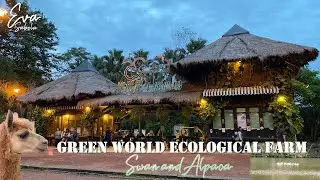 SWAN AND ALPACA | GREEN WORLD ECOLOGICAL FARM PART 1| HSINCHU | EVA SABELA 060