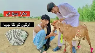 20 Hazar wala Bakra 50 Hazar Mein bheja || Banana Pranks