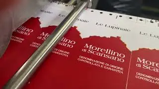 ETICHETTIFICIO GROSSETANO stampa etichette per settore alimentare a foglio o in bobina colata oro