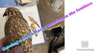 Carving a Hawk part 2 Feather burning