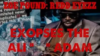 🇭🇹Zoe&rsquo;s All Access Lounge (Podcast): ZOE POUND: REDD EYEZZ; exposes ALI &ldquo;🐀KING&rdquo; Adam