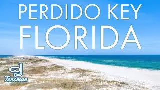Snorkeling in Perdido Key Florida | Electric Stingray!⚡OUCH!!