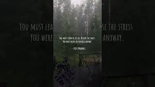 Relaxing #NatureShorts #RelaxingStream #PureCalm #Binauralbeats  #Short #Music #Meditation #Relax