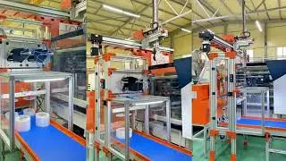 High-Speed Cartesian IML Robot for Injection Molding | Top Entry In-Mold Labeling Automation