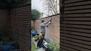 Another garden cat-proofed that will last for years! #asmr #cats #catproofgarden