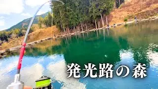 風花舞う発光路の森で良型トラウトに挑む。冬の静寂を破る美しき１匹との出会い【エリアトラウト】【管理釣り場】