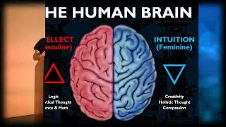 Why Freedom Depends on Natural Law Part 2/3 - Seminar by Mark Passio