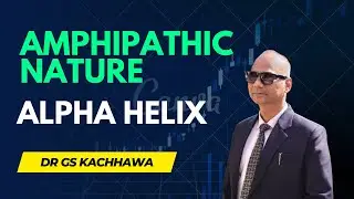 Amphipathic Nature of Alpha Helix | Protein Secondary Structure Explained