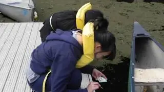 CCS Class of 2011 CYO Camp Experience