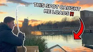 I CAUGHT THESE FISH SO QUICK!! | Burgess Park Fishing Lake | Carp Fishing
