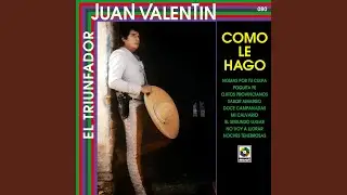 Nomás Por Tu Culpa