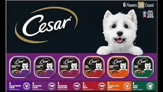 CESAR Adult Wet Dog Food Variety Pack Review: Gourmet Meals for Your Dog