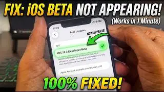 How To Fix iOS 18 Beta Update Not Showing in iPhone