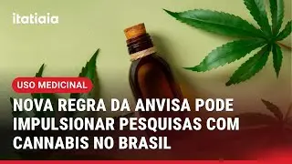 ESPECIALISTAS AVALIAM QUE LIBERA&Ccedil;&Atilde;O DA CANNABIS PARA USO MEDICINAL ABRE CAMINHO PARA NOVAS PESQUISAS