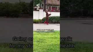 A sloth needs her walks too! 🏃 #shorts