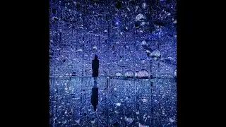 Microcosmoses: Wobbling Light and Environmental Light